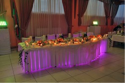 Apolonia sala za svadbe