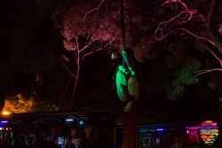 BORIK Restaurant & Beach Bar