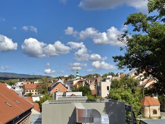 Tri bukobrana hazu gliptoteka